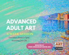 Advanced Adult Art