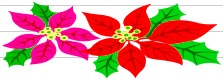 Rotary Club of Windsor & Windsor Locks	Poinsettia Sale