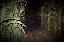 Zombies in the Corn