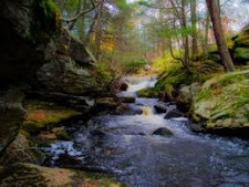 Spring Fever - Connecticut Trails