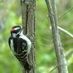 Sharing Nature With Children at Northwest Park